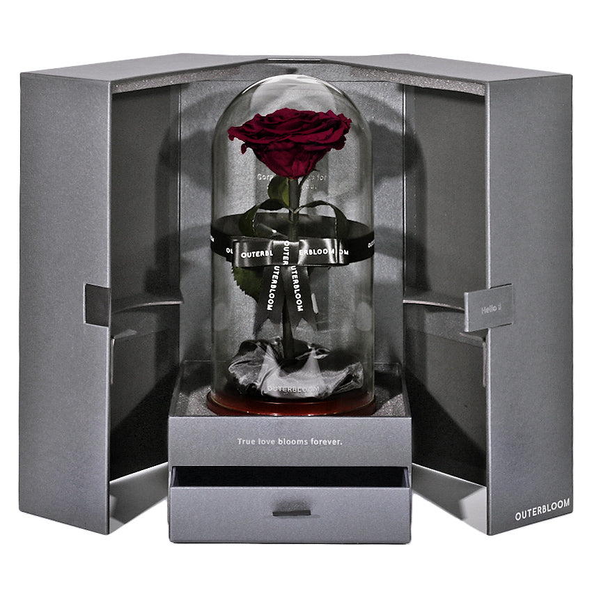 The Novo Enchanted Dome - Wine Red