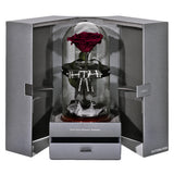 The Novo Enchanted Dome - Wine Red