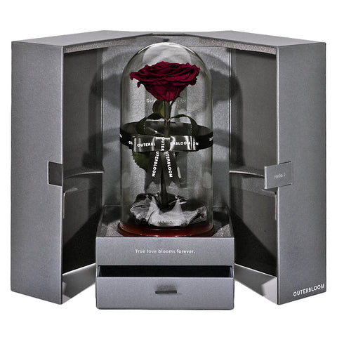 The Novo Enchanted Dome - Wine Red