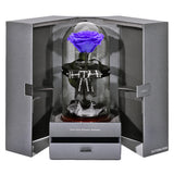 The Novo Enchanted Dome - Posh Purple