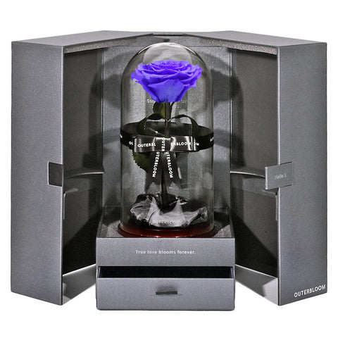 The Novo Enchanted Dome - Posh Purple