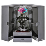 The Novo Enchanted Dome - Pastel Rainbow