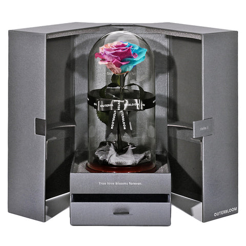 The Novo Enchanted Dome - Pastel Rainbow