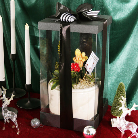 The Savanna Succulent