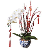 Mandarin Orchid in Vase