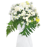 Cermati Standing Flower Sumatra