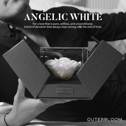 The Novo Astoria - Angelic White