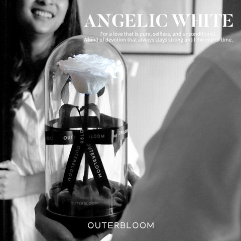 The Novo Enchanted Dome - Angelic White
