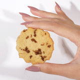 Nibbl Winter Spice & Everything Nice