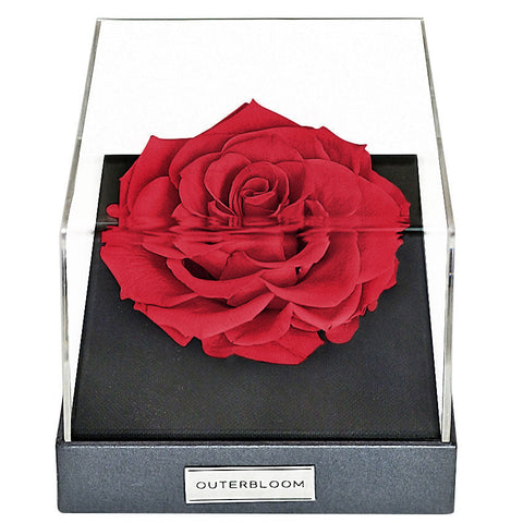 Outerbloom Lovestruck