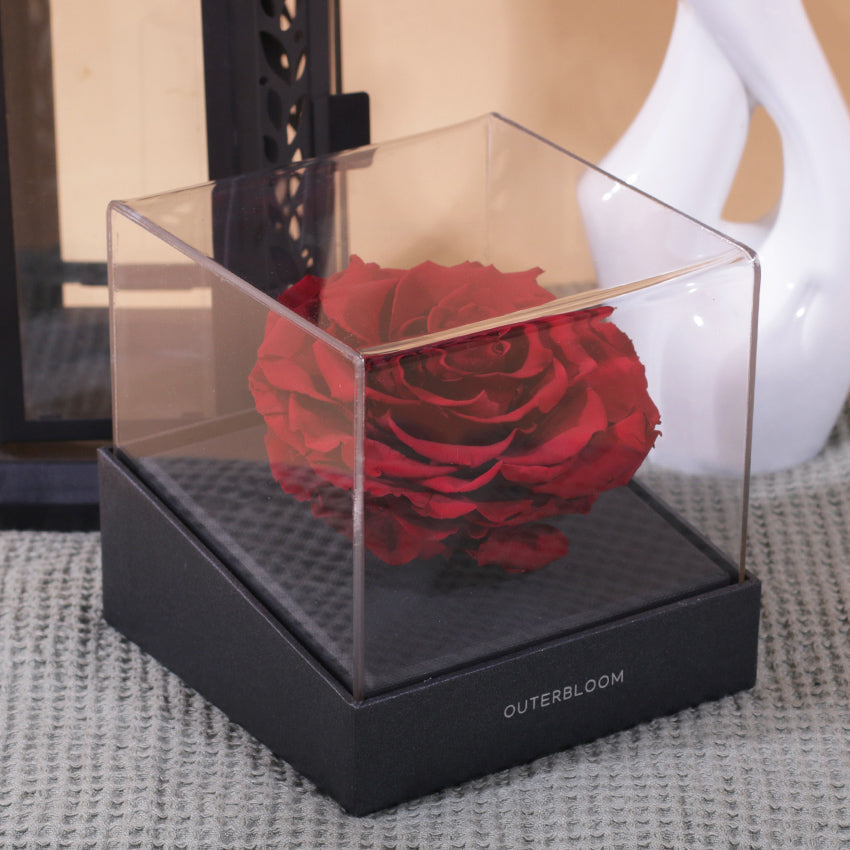 Signature Ramadan Prestige Hampers