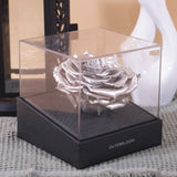 Signature Ramadan Blessing Precious Hampers