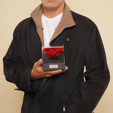 The Novo Astoria - Magic Rainbow