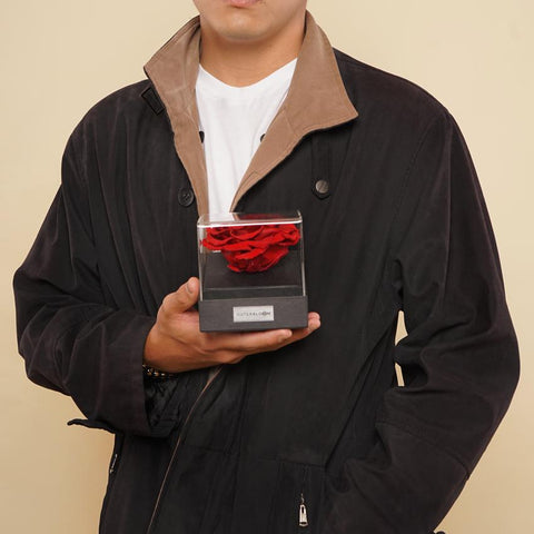 The Novo Astoria - Angelic White