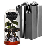 Enchanted Dome - Midnight Black