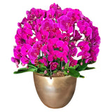 Luxury Purple Orchid Majesty in Vase