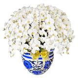 Luxury White Orchid Majesty in Vase
