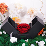 Signature Ramadan Grande Astoria Hampers