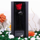 Signature Ramadan Grande Piroutte Hampers