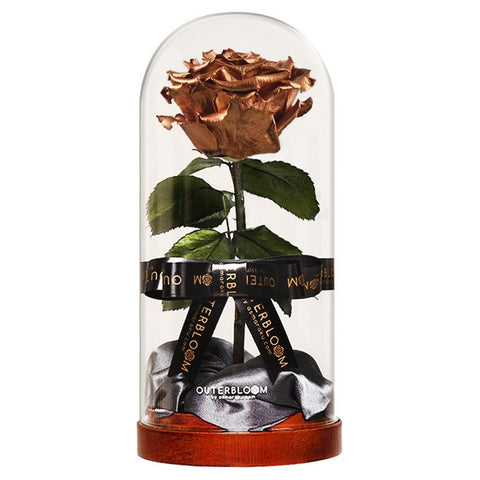 Enchanted Dome - Champagne Gold