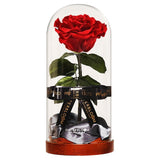 Enchanted Dome - Passionate Red