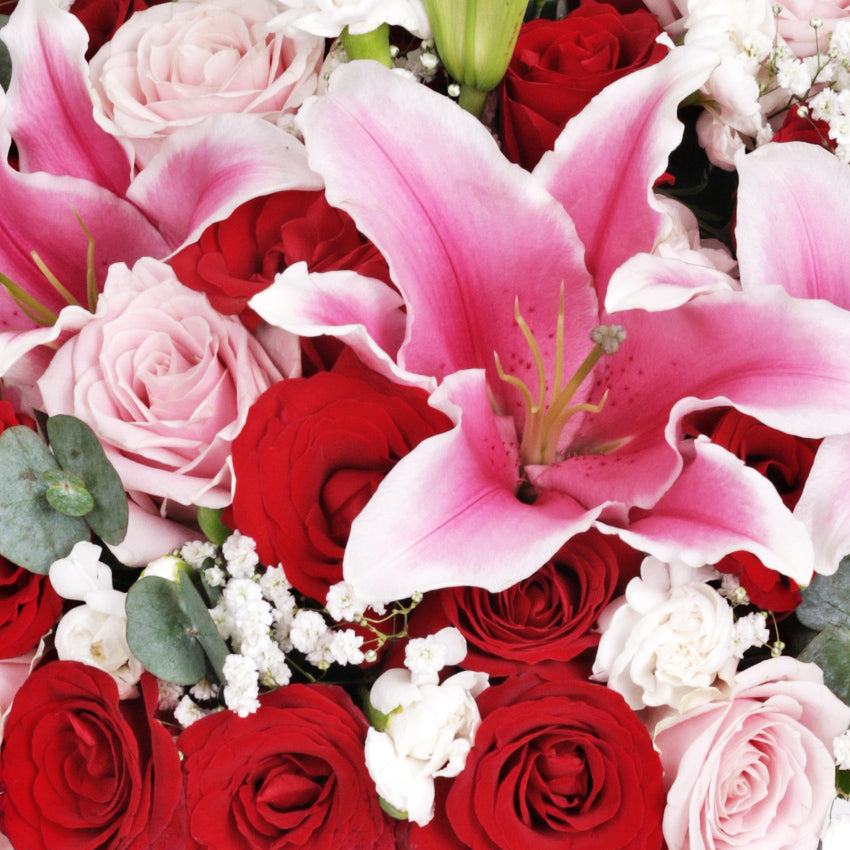 [Valentine] Bellarosa Bloom Box