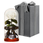 Enchanted Dome - Angelic White