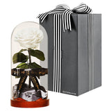 Enchanted Dome - Angelic White