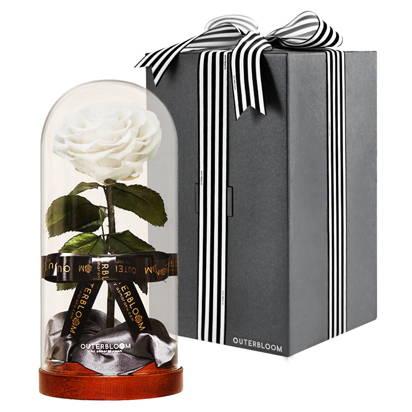 Enchanted Dome - Angelic White
