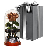 Enchanted Dome - Champagne Gold