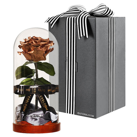 Enchanted Dome - Champagne Gold