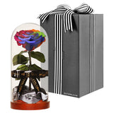 Enchanted Dome - Magic Rainbow