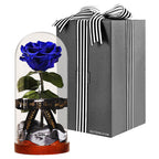 Enchanted Dome - Midnight Blue