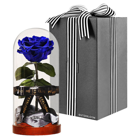 Enchanted Dome - Midnight Blue