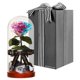 Enchanted Dome - Pastel Rainbow