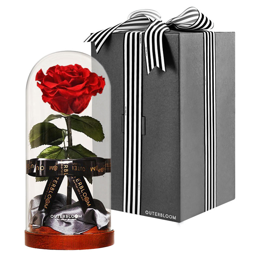 Enchanted Dome - Passionate Red