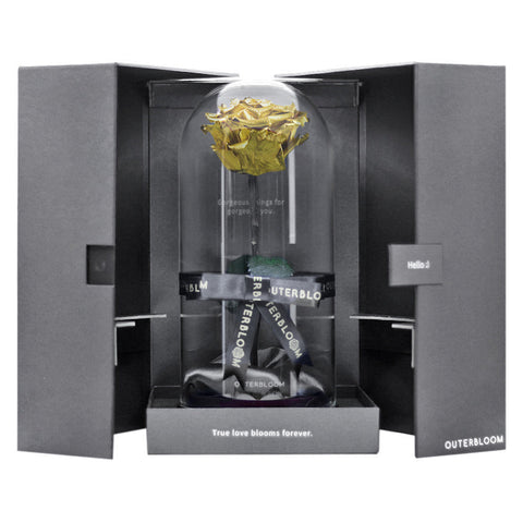 Enchanted Dome - Royal Gold