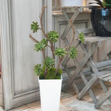 Modern Bliss Artificial