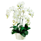 Blessed Elegance Artificial