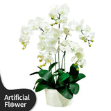 Blessed Elegance Artificial