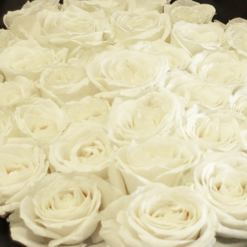 Black Pearl Dazzling White Big Bouquet