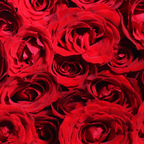 Black Pearl Classic Red Small Bouquet