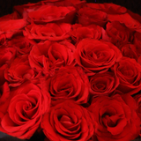 Black Pearl Classic Red Big Bouquet