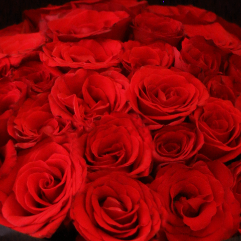 Black Pearl Classic Red Big Bouquet