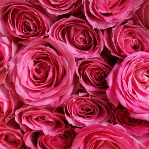 Love Scenario Sweet Pink Big Bouquet