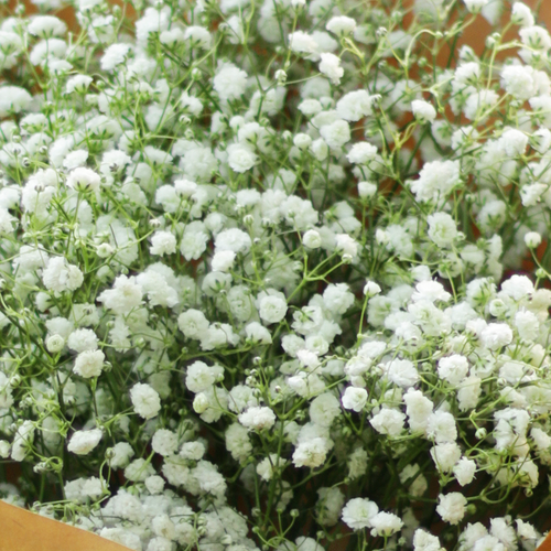 Let It Snow Bouquet