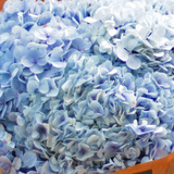 Blue Rhapsody Bouquet