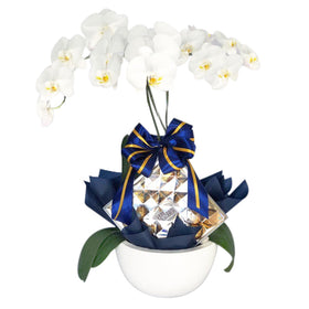 Gambar Divine Orchid in Vase Jenis Bunga