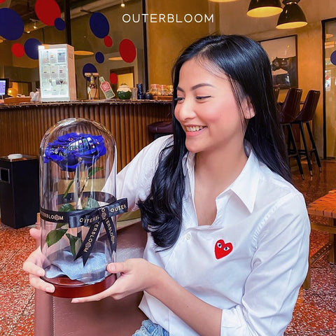 Enchanted Dome - Midnight Blue