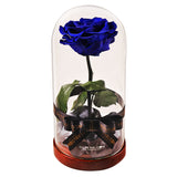 Enchanted Dome - Midnight Blue